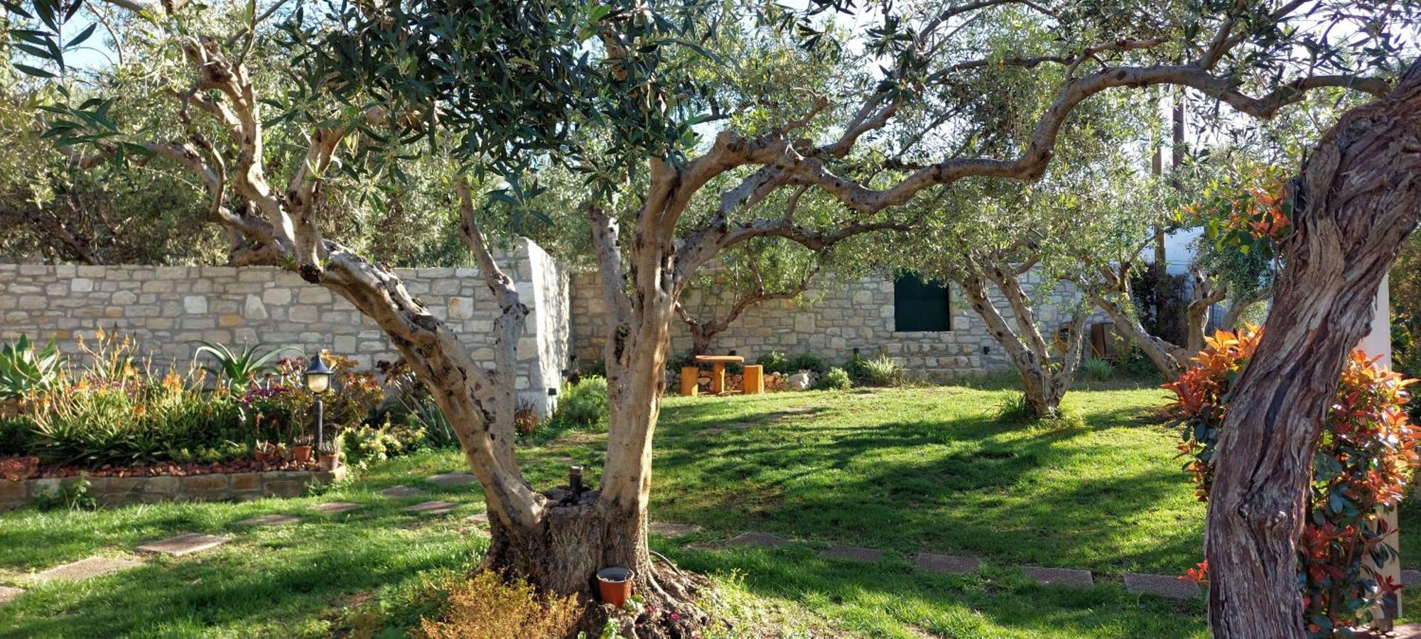 פלטאנס Lily'S Cottage מראה חיצוני תמונה